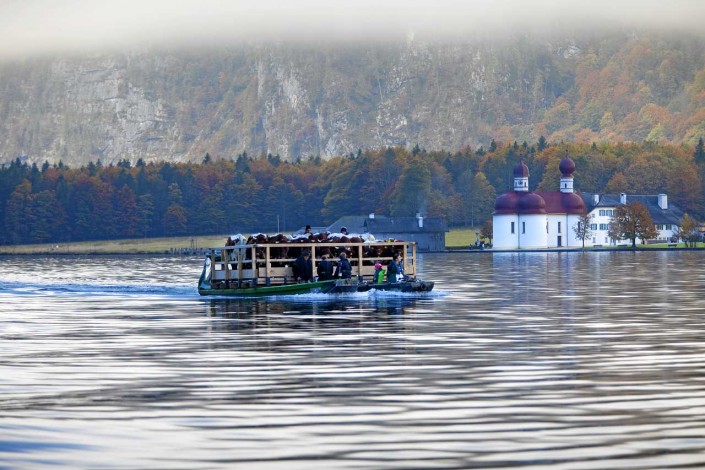 Almabtrieb auf dem Königssee mit St. Bartholomä